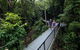 4-Day Cairns With Great Barrier Reef And Daintree Rainforest - thumb 0
