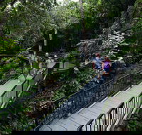 4-Day Cairns with Great Barrier Reef and Daintree Rainforest - Tourism Cairns
