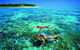 4-Day Cairns With Great Barrier Reef And Daintree Rainforest - thumb 3