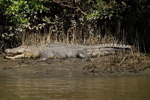 4-Day Cairns With Great Barrier Reef And Daintree Rainforest - Tourism Cairns 6