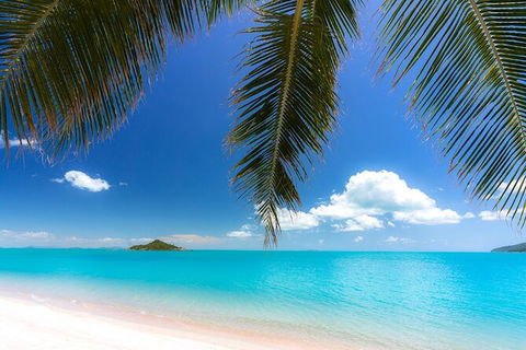 Reef, Wildlife & Rainforest - Reef & Beyond Guided Holidays - Tourism Cairns 4