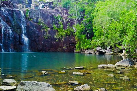 Reef, Wildlife & Rainforest - Reef & Beyond Guided Holidays - Tourism Cairns 0