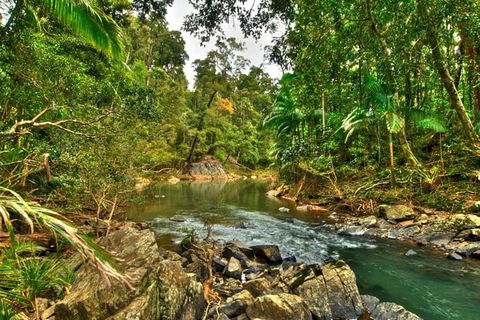 Reef, Wildlife & Rainforest - Reef & Beyond Guided Holidays - Tourism Cairns 3