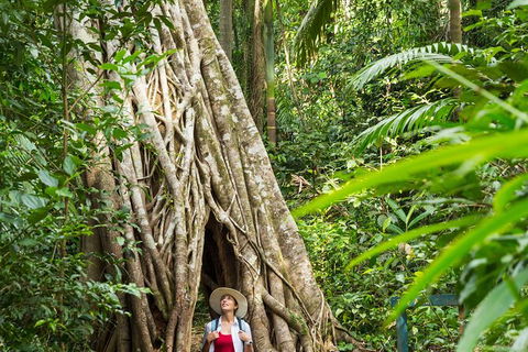 Reef, Wildlife & Rainforest - Reef & Beyond Guided Holidays - Tourism Cairns 2