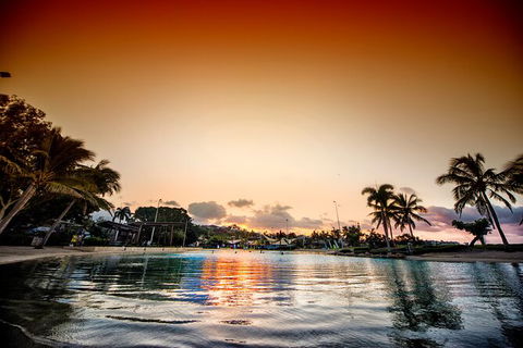 Reef, Wildlife & Rainforest - Reef & Beyond Guided Holidays - Tourism Cairns 6