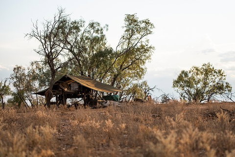 Nogo Station Experience - Tourism Cairns 5
