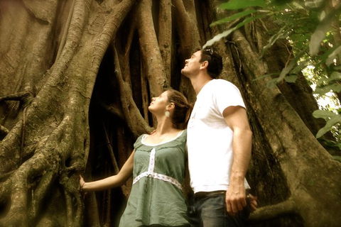 Daintree And Cape Tribulation Full Day Guided Tour - Tourism Cairns 0