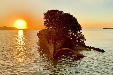 Aquascene Magnetic Island Sunset & Shipwreck Tour - Tourism Cairns 3