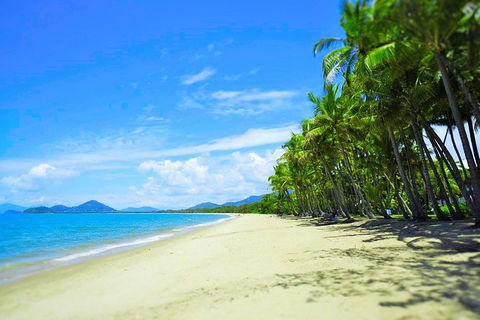 Airport Transfer - Palm Cove, Kewarra Beach & Trinity Beach To Cairns Airport - Tourism Cairns 2