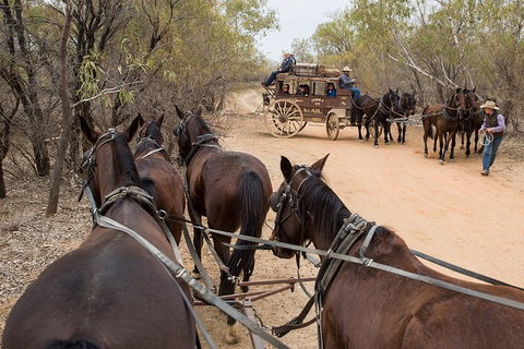 Cobb And Co Stagecoach Experience - Tourism Cairns 1