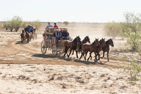 Cobb And Co Stagecoach Experience - Tourism Cairns 4