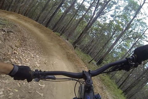 EMtn Bike + Brewery Day Tour - Tourism Cairns 2