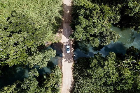 Private Group Eco Tour - Tourism Cairns 5