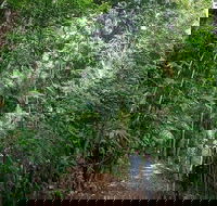 Private Group Eco Tour