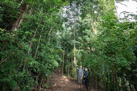 Private Group Eco Tour - Tourism Cairns 0