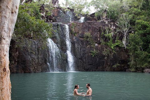Private Group Eco Tour - Tourism Cairns 8