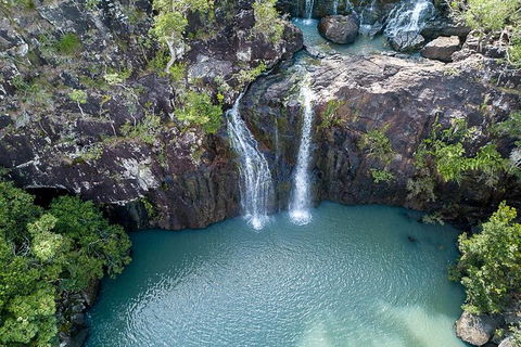 Private Group Eco Tour - Tourism Cairns 6