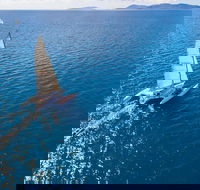 2-Night Whitsunday Islands Sailing Adventure on Trimaran 'Avatar'