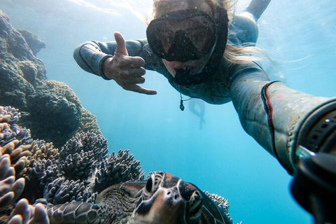 4 Day And 3 Night Whitsunday Maxi Sailing Adventure On Broomstick - Tourism Cairns 13