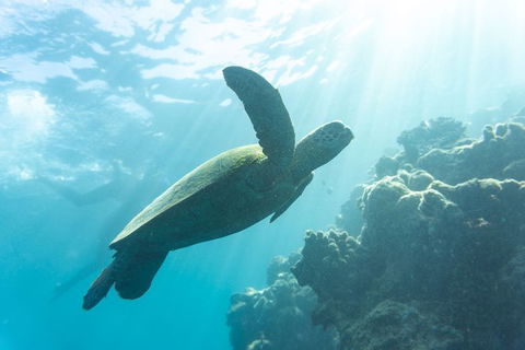 4 Day And 3 Night Whitsunday Maxi Sailing Adventure On Broomstick - Tourism Cairns 1