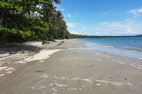 Private Transfers Cairns Airport To Port Douglas - Tourism Cairns 1