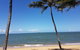Private Transfers Cairns Airport To Port Douglas - thumb 8
