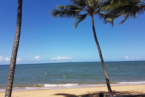 Private Transfers Cairns Airport To Port Douglas - Tourism Cairns 8