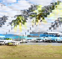 Private Transfers - Cairns Airport to Palm Cove - Tourism Cairns