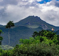 Port Douglas Daintree National Park Boutique Full-Day Tour
