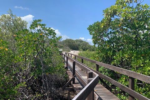 Hinchinbrook Island Tour - Tourism Cairns 4