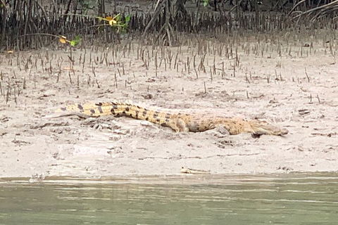 Hinchinbrook Island Tour - Tourism Cairns 2