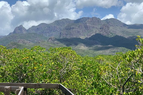 Hinchinbrook Island Tour - Tourism Cairns 0