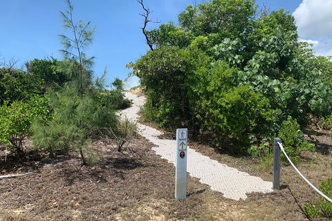 Hinchinbrook Island Tour - Tourism Cairns 1