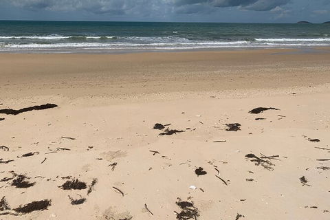 Hinchinbrook Island Tour - Tourism Cairns 6