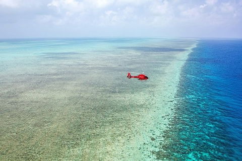 Day Tour To Kuranda, Rainforest And Port Douglas With Flight - Tourism Cairns 3