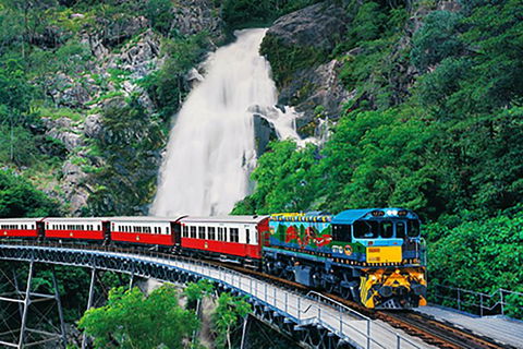 Day Tour To Kuranda, Rainforest And Port Douglas With Flight - Tourism Cairns 4