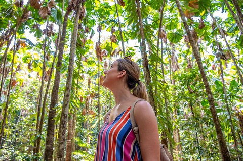 5 Day Australia Retreat: Queensland Daintree - Tourism Cairns 3