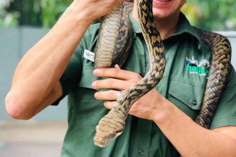 Virtual Interactive Australian Wildlife Tour With Private Guide-Wildlife Habitat - Tourism Cairns 3