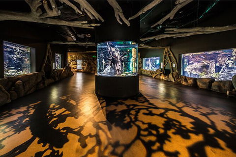Cairns Aquarium By Twilight With 3 Course Dinner - Tourism Cairns 7