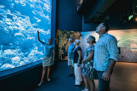 Cairns Aquarium By Twilight With 3 Course Dinner - Tourism Cairns 0