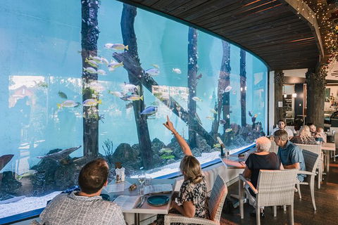 Cairns Aquarium By Twilight With 3 Course Dinner - Tourism Cairns 1