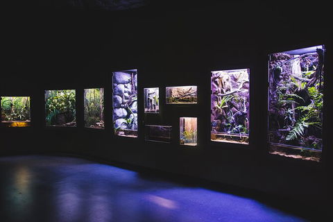 Cairns Aquarium By Twilight With 3 Course Dinner - Tourism Cairns 3