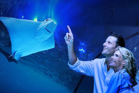 Cairns Aquarium Tour By Twilight With Drink And Appetiser - Tourism Cairns 0