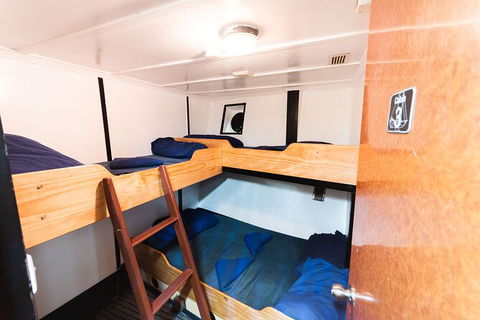 2 Night Whitsunday Islands Cruise On Atlantic Clipper From Airlie Beach - Tourism Cairns 1