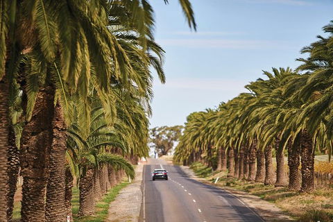 Barossa Valley Highlights From Barossa Valley Including Wine And Cheese Tasting - Tourism Cairns 2