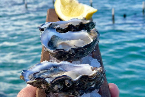 Coffin Bay Oysters, Ocean & Nature Tour - Tourism Cairns 0