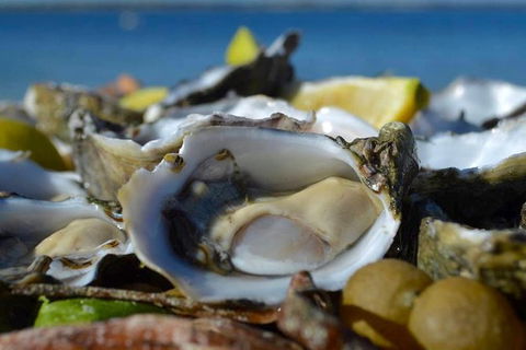 Coffin Bay Oysters, Ocean & Nature Tour - Tourism Cairns 8