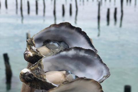 Coffin Bay Oysters, Ocean & Nature Tour - Tourism Cairns 6