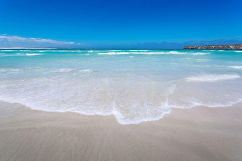 Coffin Bay Oysters, Ocean & Nature Tour - Tourism Cairns 14