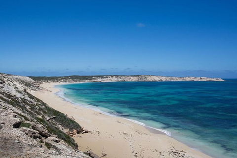Coffin Bay Oysters, Ocean & Nature Tour - Tourism Cairns 16
